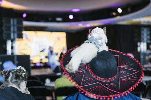 CCTC26-Cosplay-Panel-85